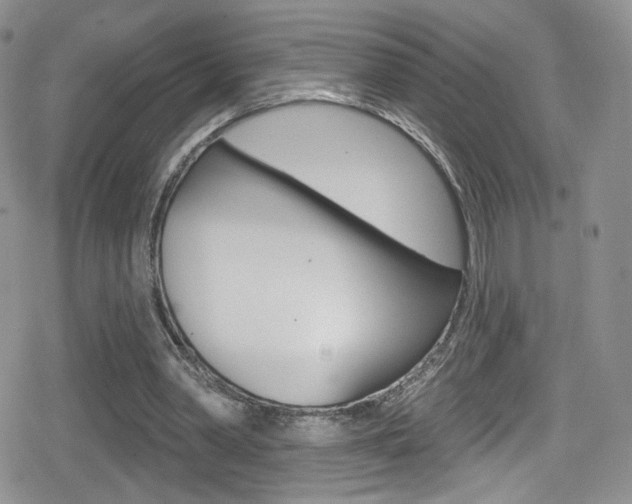 X0000080770390200612151004