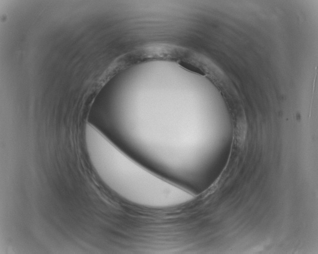 X0000080770413200612151004