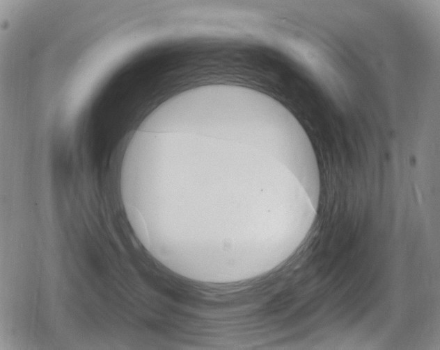 X0000080770431200612151003