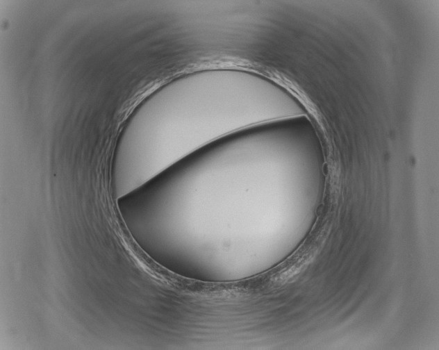 X0000080770433200612151003