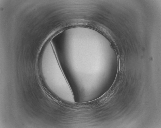 X0000080770435200612151003