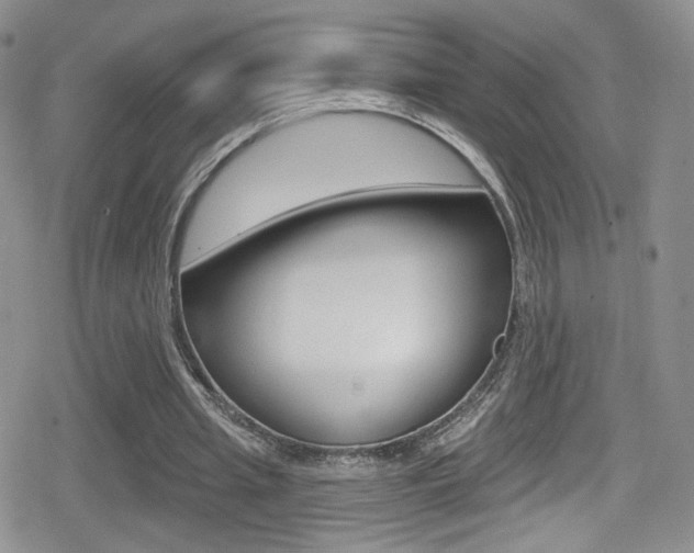 X0000080770437200612151003