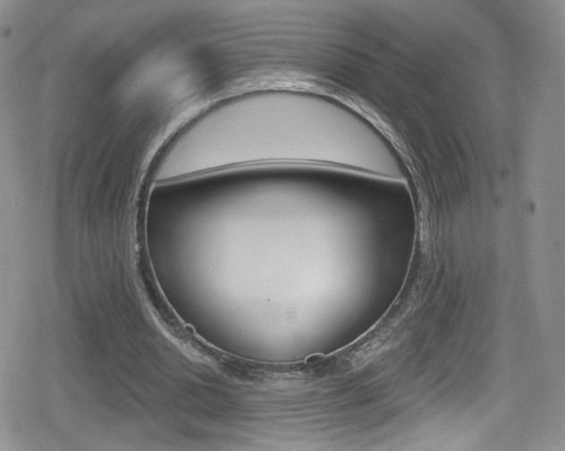 X0000080770438200612151003