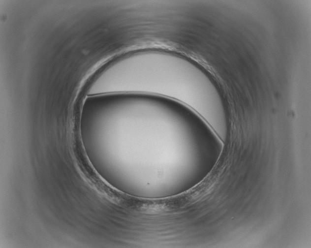 X0000080770440200612151003