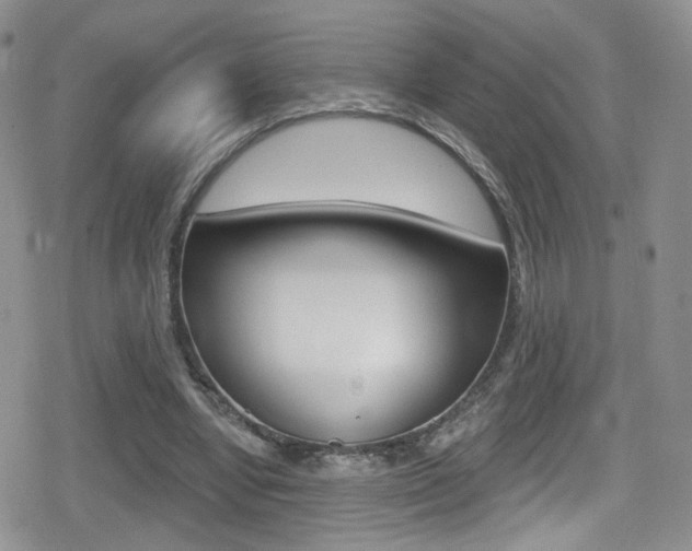 X0000080770442200612151003