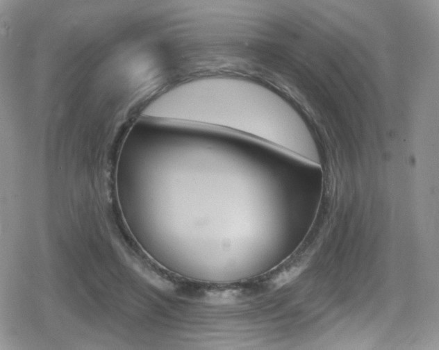 X0000080770450200612151003