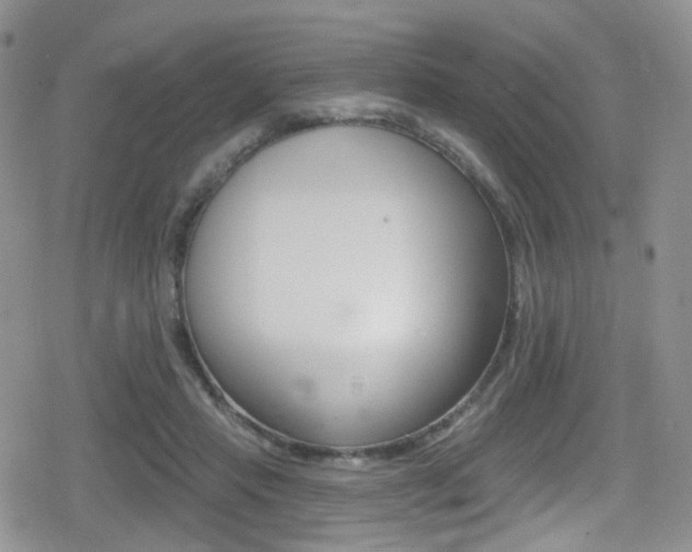 X0000080770453200612151003