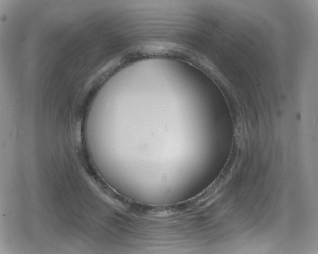 X0000080770454200612151003