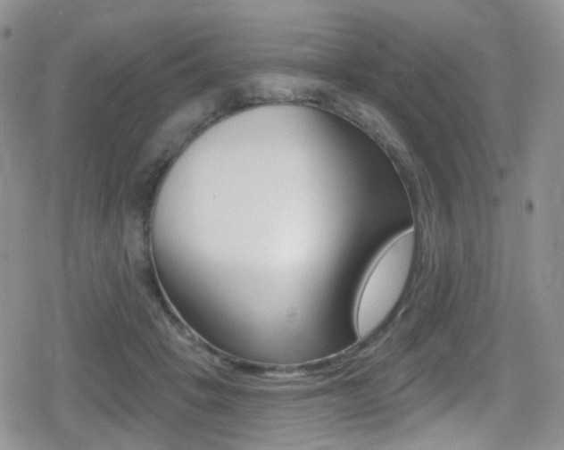 X0000080770457200612151003