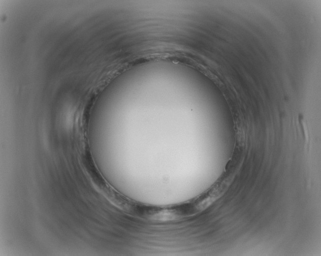 X0000080770460200612151003