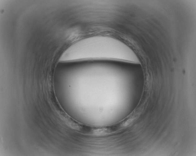 X0000080770461200612151003