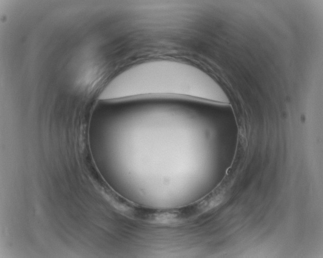 X0000080770462200612151003