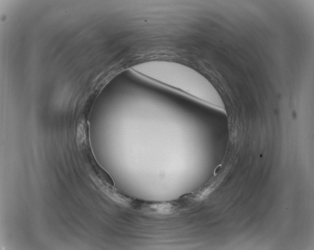 X0000080770478200612151003