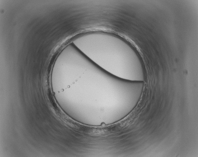 X0000080770487200612151003