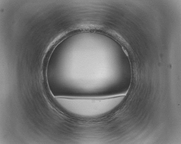 X0000080770488200612151003