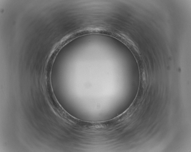 X0000080770492200612151002