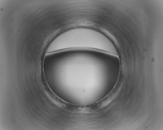 X0000080770493200612151002