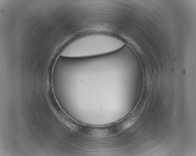 X0000080770494200612151002