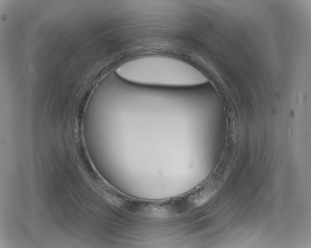 X0000080770498200612151002