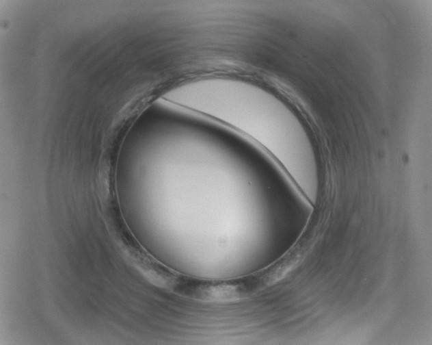 X0000080770501200612151002