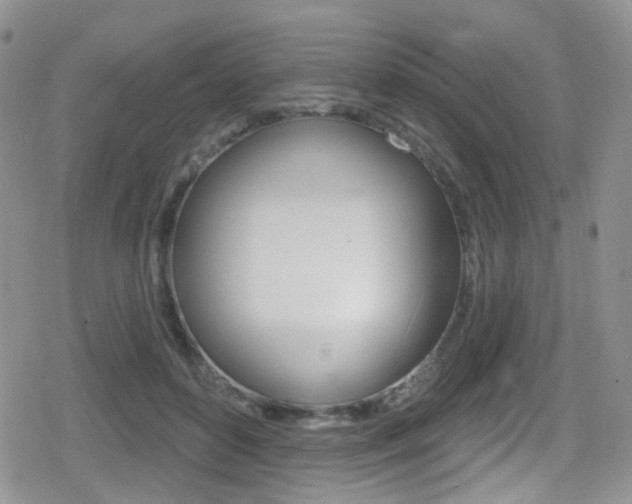 X0000080770504200612151002