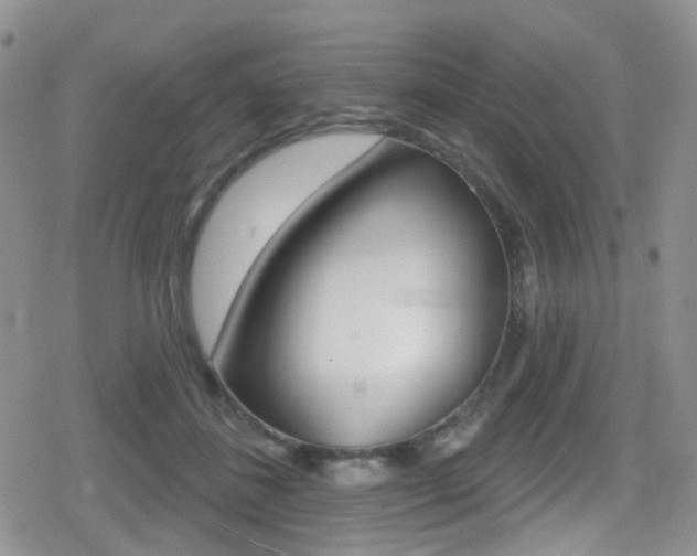 X0000080770508200612151002