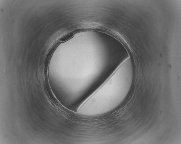 X0000080770531200612151001