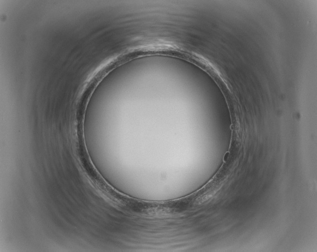 X0000080770535200612151001