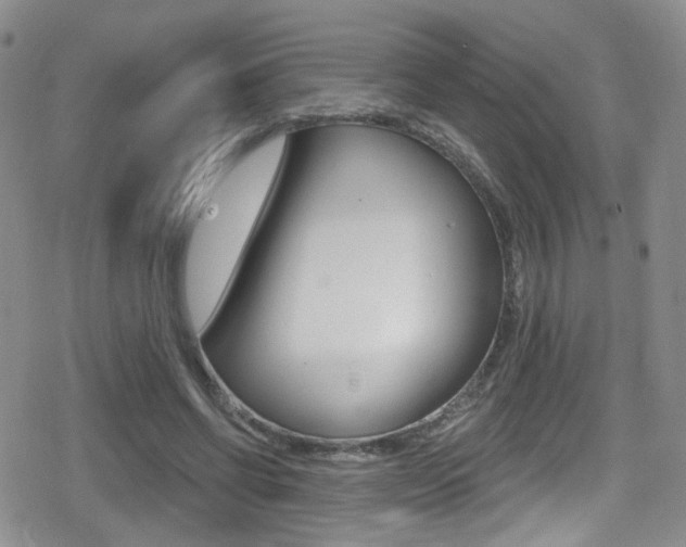 X0000080770542200612151001