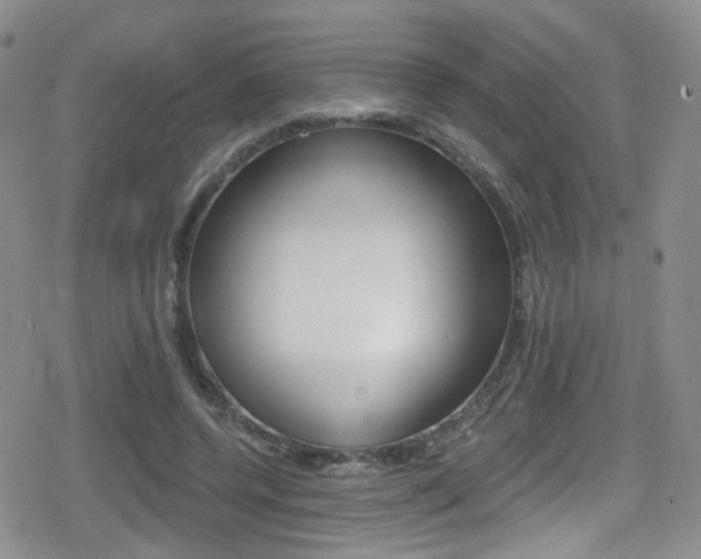 X0000080770544200612151001