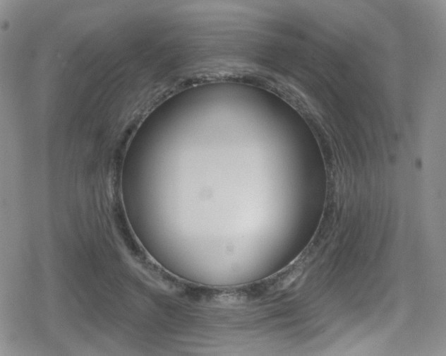 X0000080770546200612151001