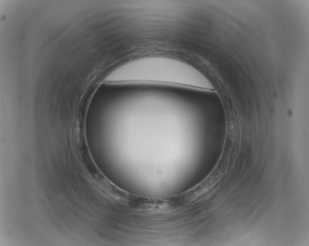 X0000080770552200612151001
