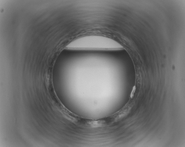 X0000080770558200612151002
