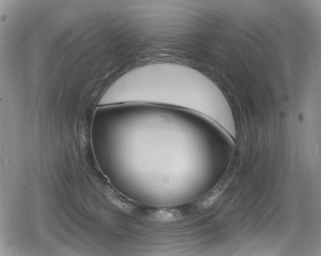 X0000080770566200612151002