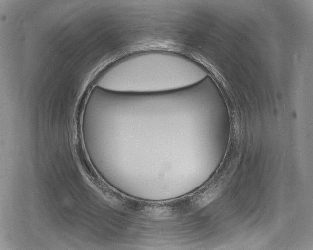 X0000080770582200612151001