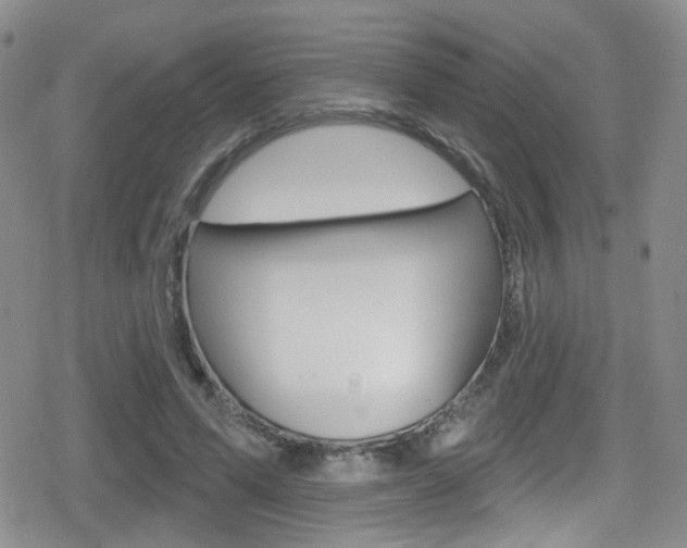 X0000080770591200612151001