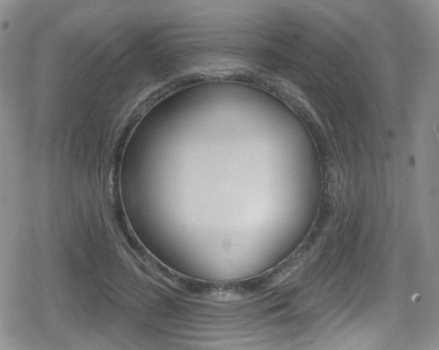 X0000080770596200612151001