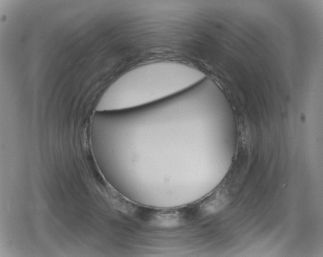 X0000080770606200612151001