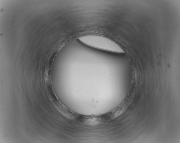 X0000080770611200612151001