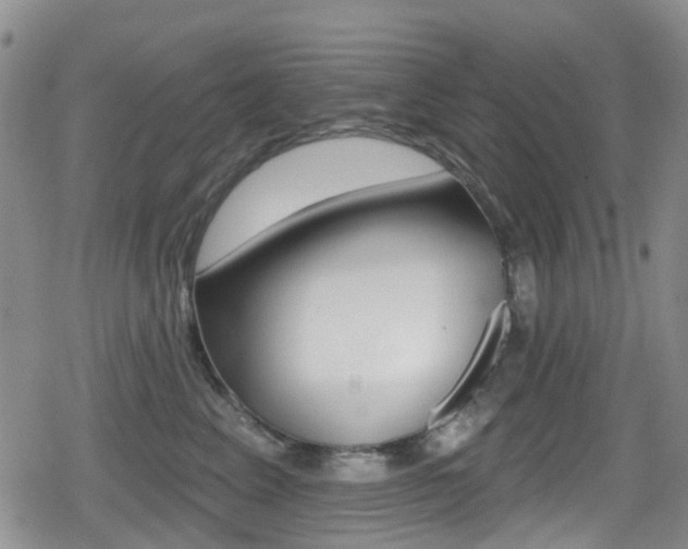 X0000080770617200612151000