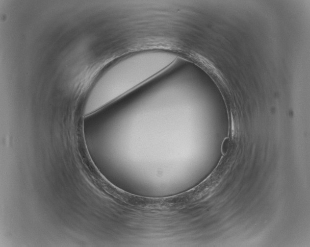 X0000080770627200612151000