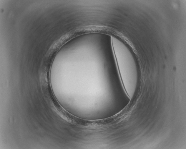 X0000080770633200612151000