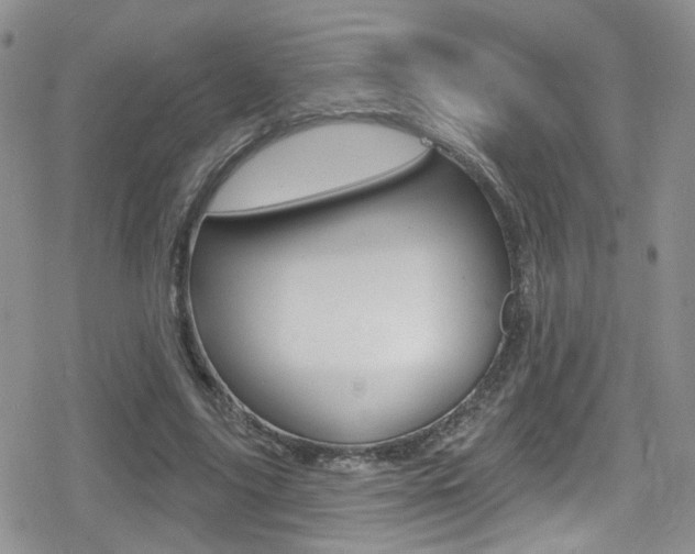 X0000080770635200612151000