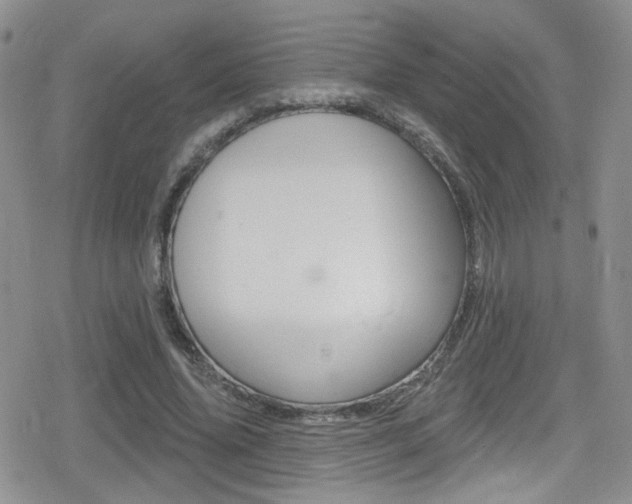 X0000080770636200612151000