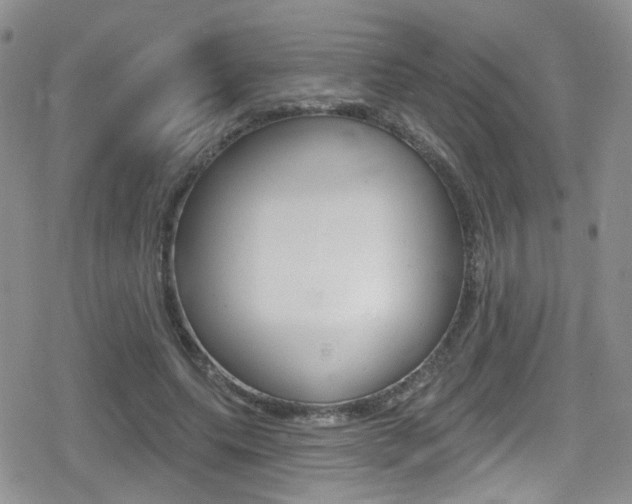 X0000080770639200612151000