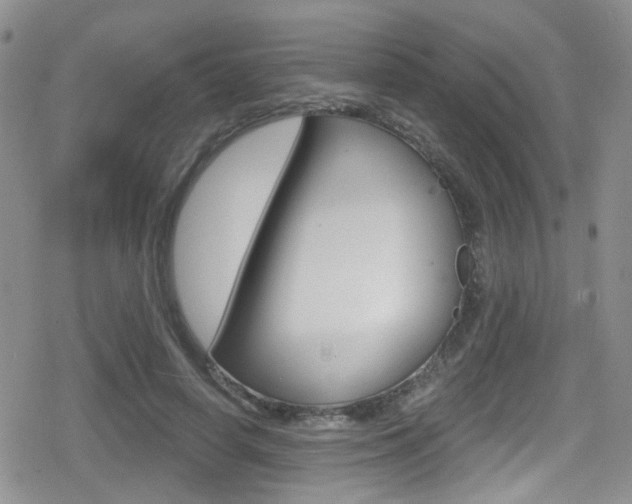 X0000080770642200612151000