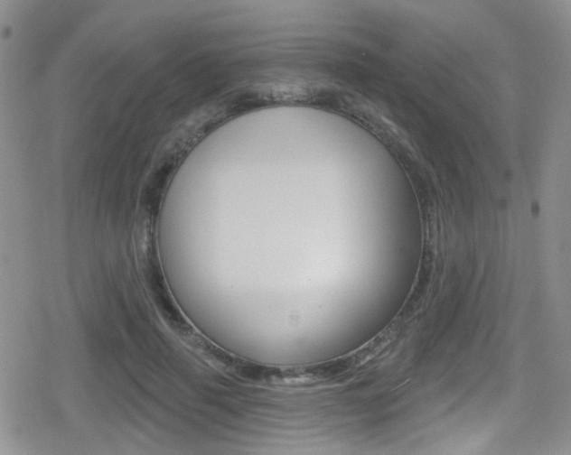 X0000080770645200612151000