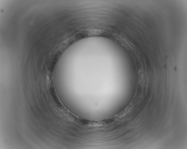 X0000080770655200612151000
