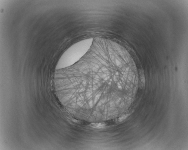 X0000080770667200612151000