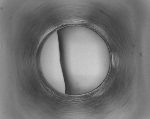 X0000080770675200612151000
